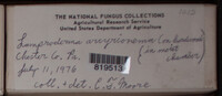 Image Associated With the Occurence